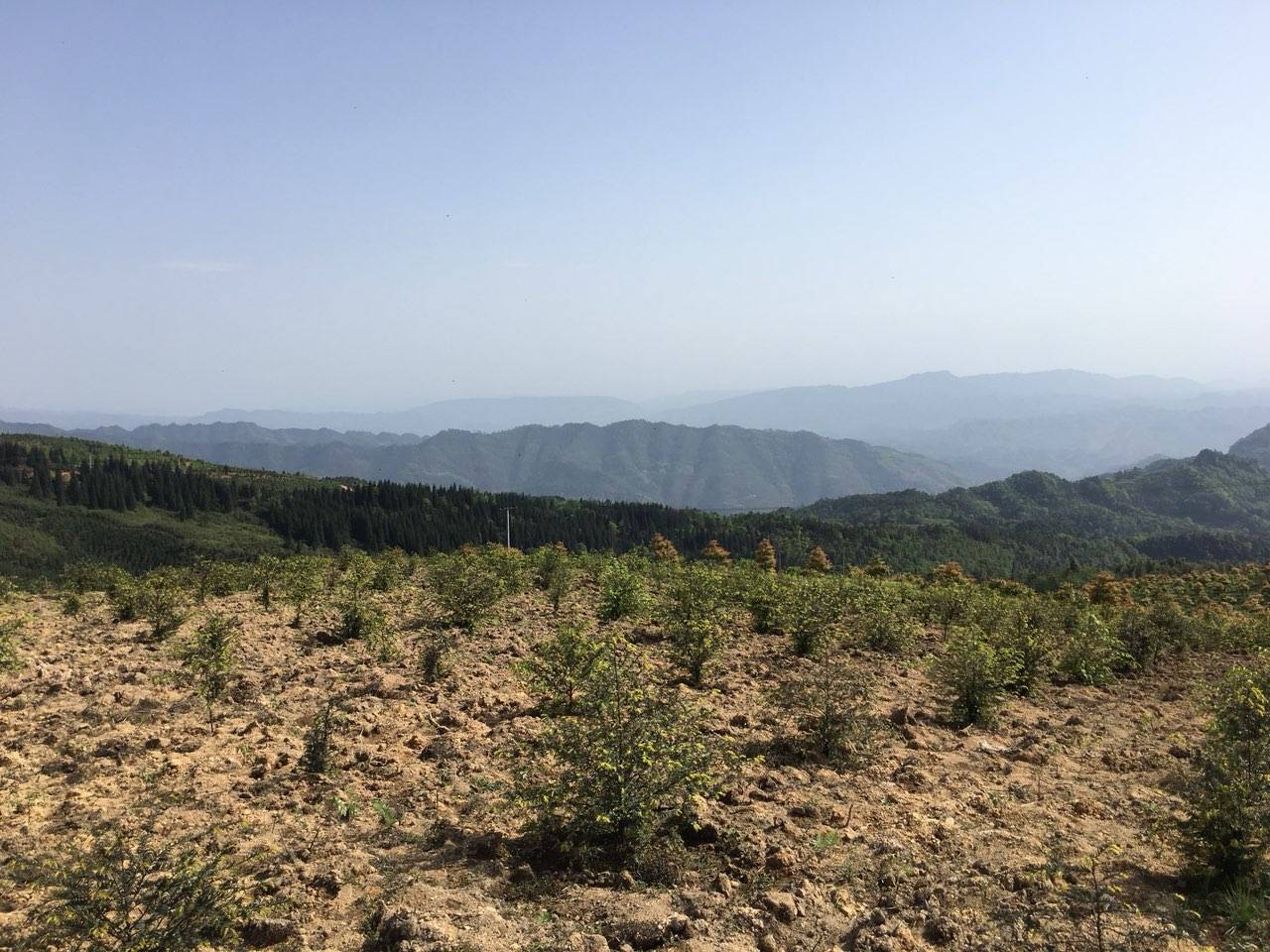 高县,文江镇,黄草坪一日骑游,景色宜人,空气清新