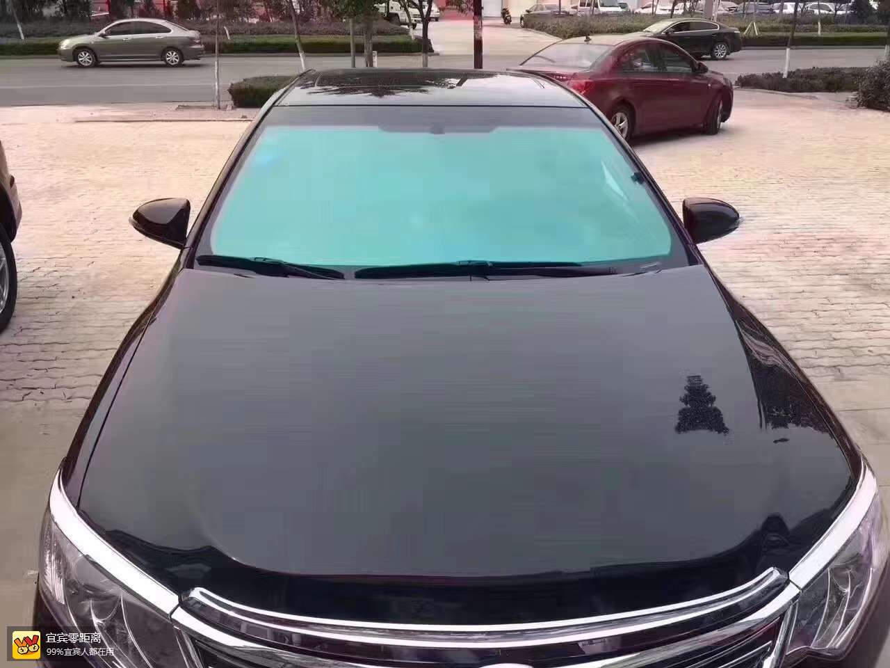 来自维斯塔汽车膜的v友圈