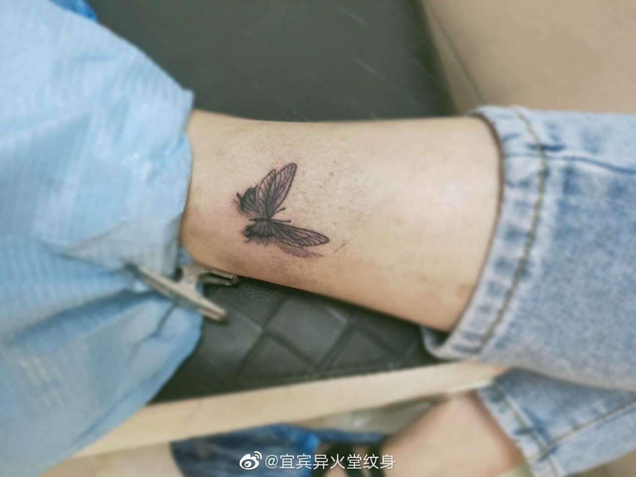 忍得住破茧成蝶的痛,才担得起展翅高飞的美
