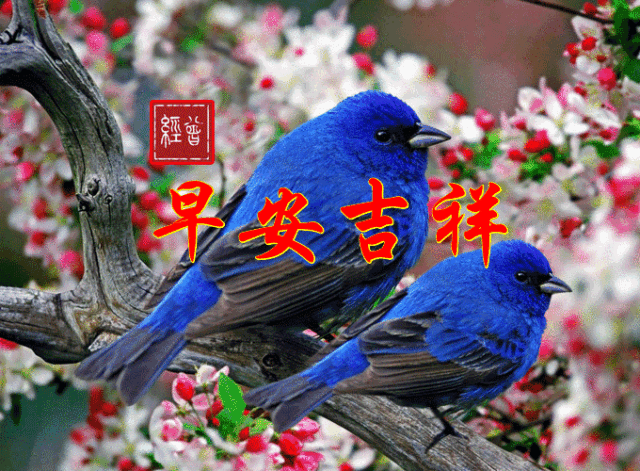 早安(^o^)!      