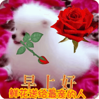 6-29四川_宜宾宜宾零距离 全部评论 lv17皇帝 早上好!