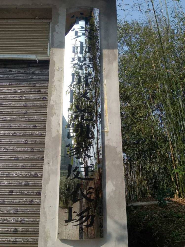 凉姜尧凯家庭农场枇杷熟了