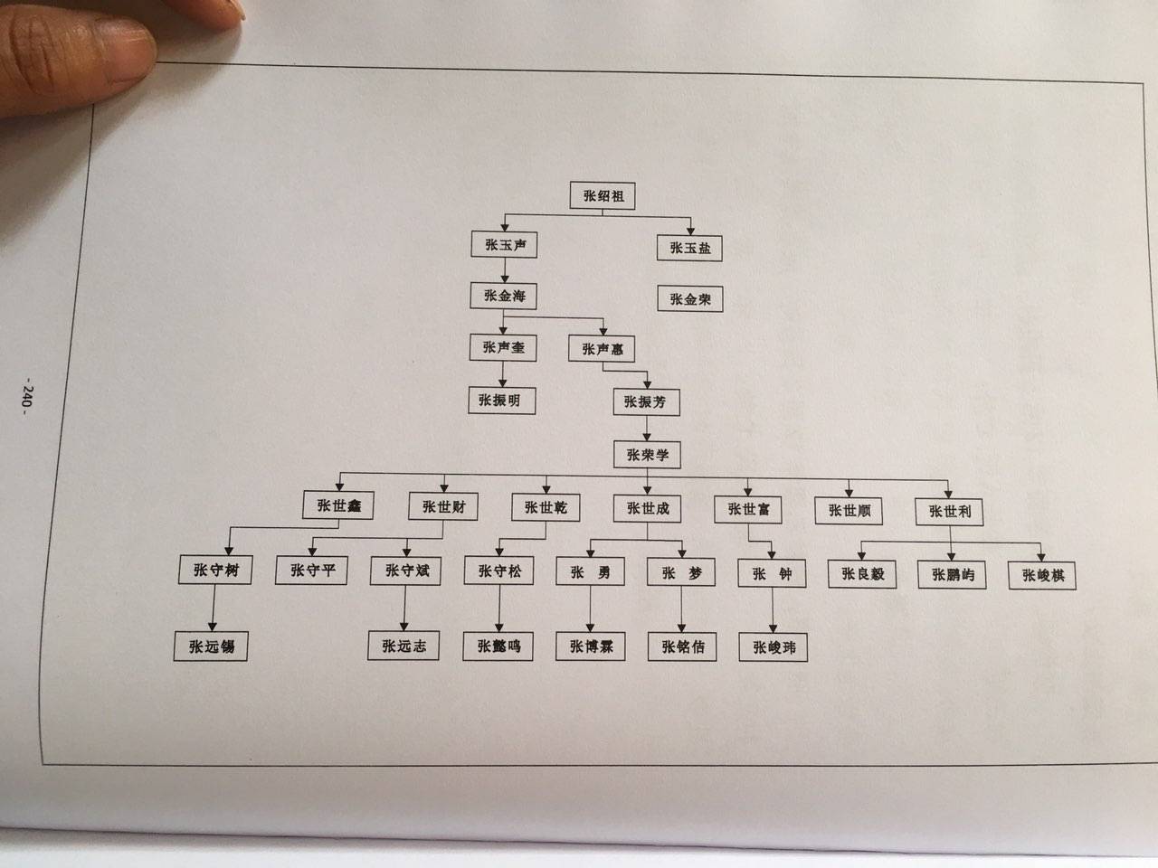 张氏排名_张氏头像