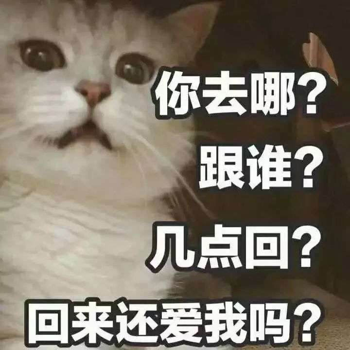 看看我的面目表情啊!