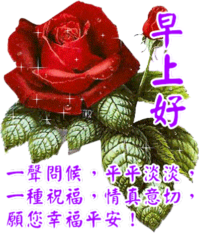 早上好